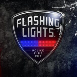 Flashing Lights Police Firefighting Emergency Services Simulator Free Download